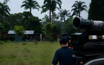 Curso gratuito para periodistas: ¿Cómo investigar delitos ambientales en la Amazonía?