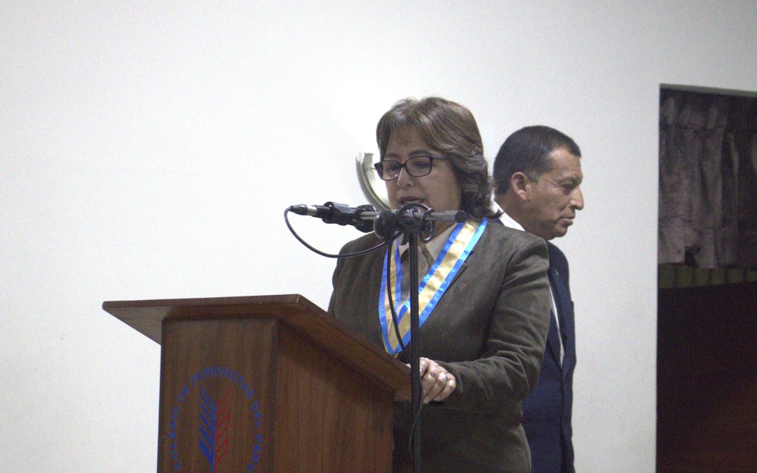 Personería jurídica de Colegio de Periodistas del Perú y de Filial Departamental Arequipa demandaron esfuerzo